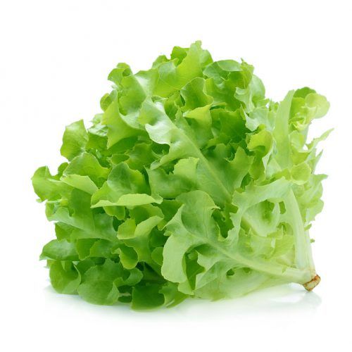 Lettuce Green Oak Leaf -250gm