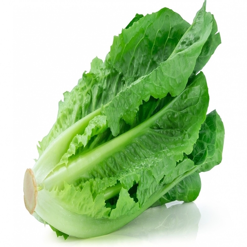 Lettuce Romaine Green -250gm