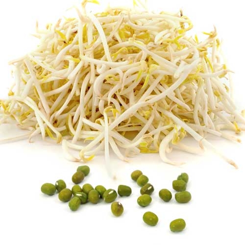 Moong Beans Sprouts - .100 gms