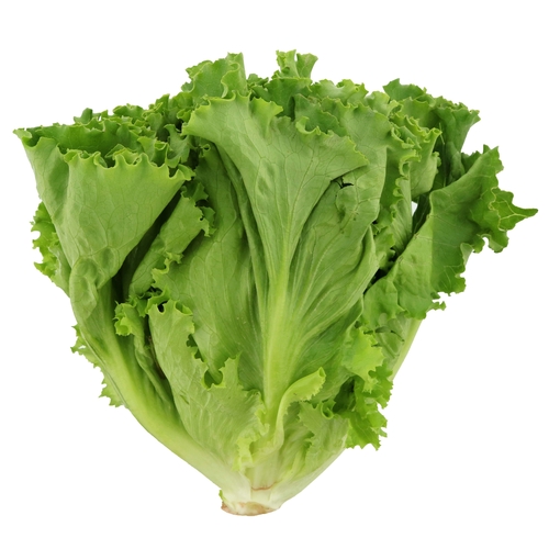 Lettuce Leafy -250gm
